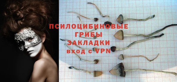 кокаин колумбия Снежногорск
