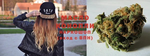 гашик Слюдянка