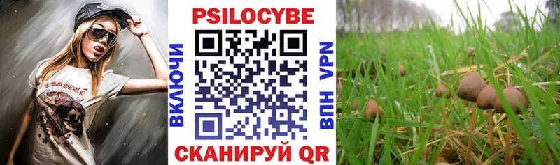 Галлюциногенные грибы GOLDEN TEACHER  Теберда 