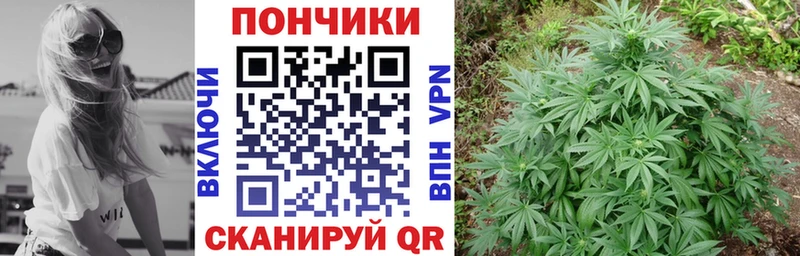 МАРИХУАНА VHQ  Теберда 